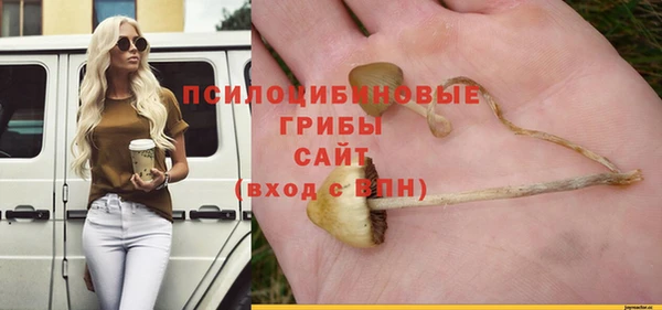 соль ск Абдулино