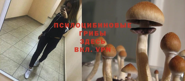 хмурый Абаза