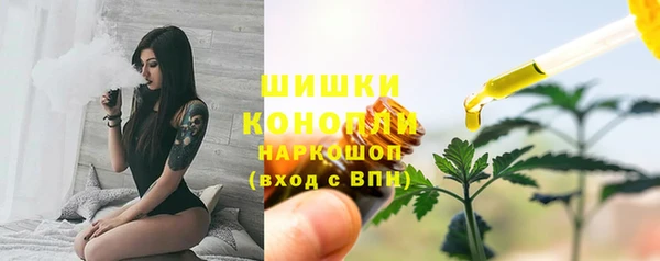 хмурый Абаза