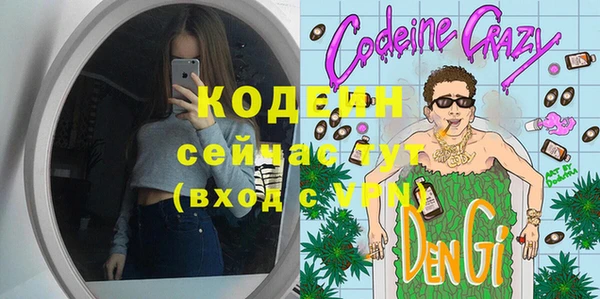 хмурый Абаза