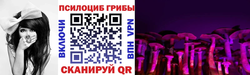 как найти закладки сайты даркнета формула Псилоцибиновые грибы прущие грибы Красновишерск